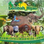 Destinasi Edukasi Terdekat dari Bandar Lampung: Menikmati Taman Wisata Lembah Hijau